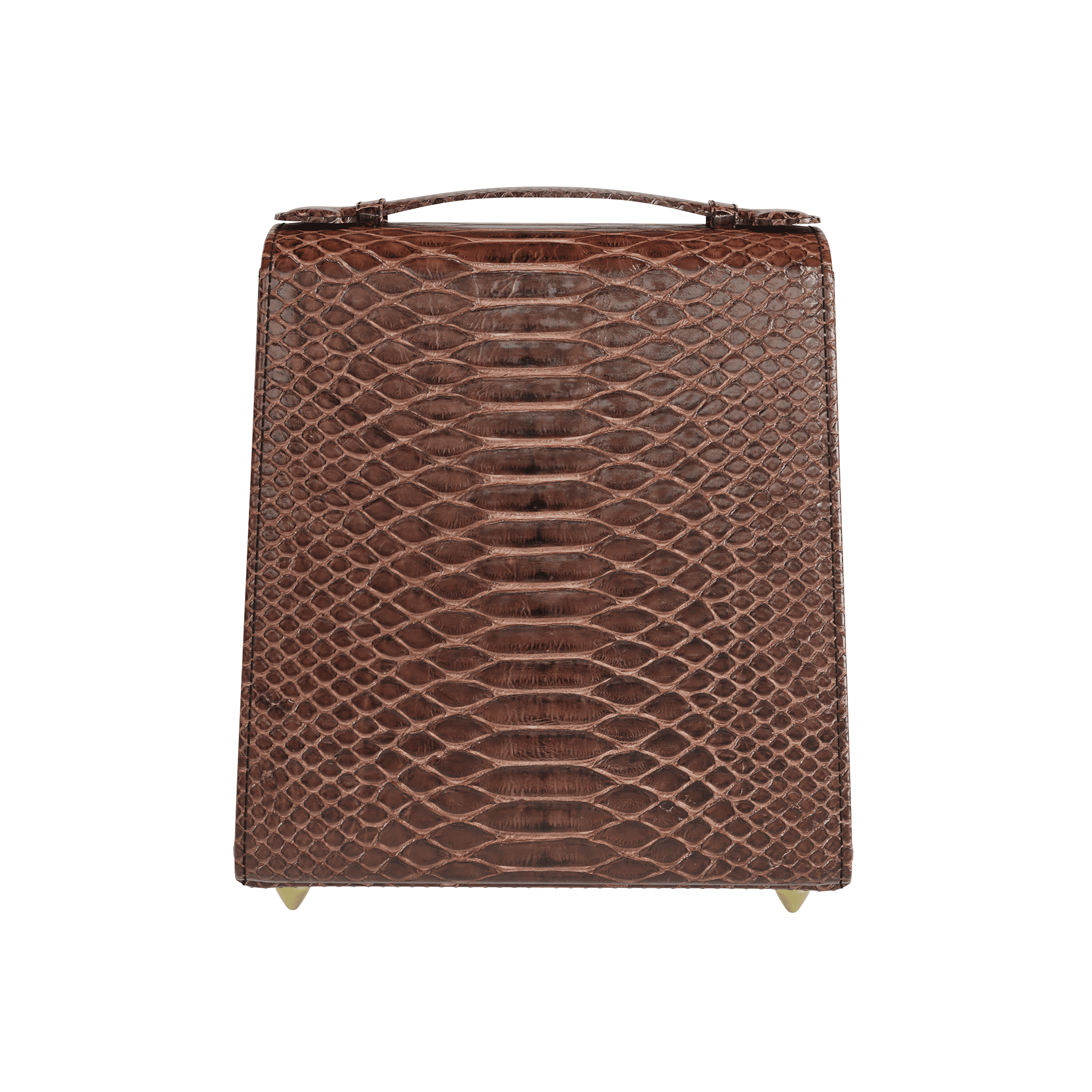 Brown Python Box Bag